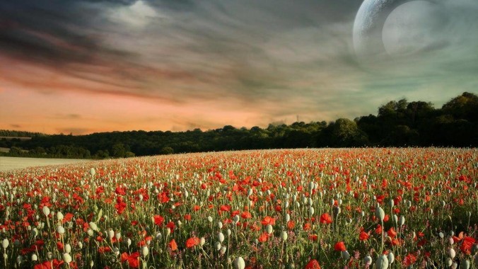 Rust怎么写GUI程序？